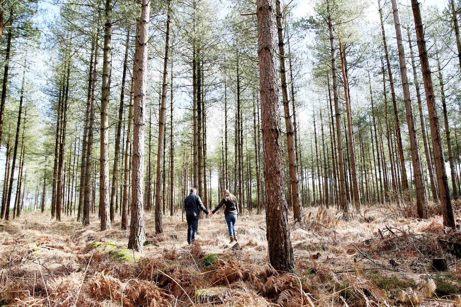 Dorset & Hampshire Wedding Photographer, Engagement Session , Ringwood Forest